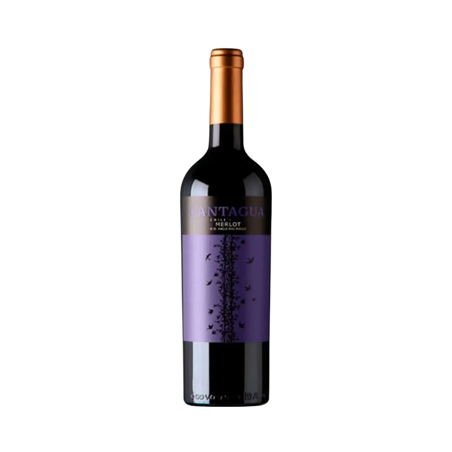 Rượu Vang Đỏ Chile Cantagua Merlot 
