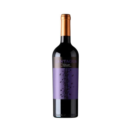 Rượu Vang Đỏ Chile Cantagua Merlot 