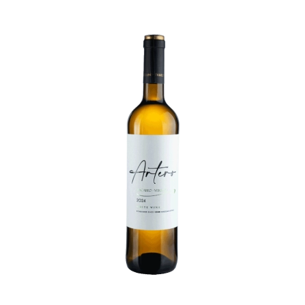 Rượu Vang Trắng Tây Ban Nha Bodegas Artero Macabeo Verdejo