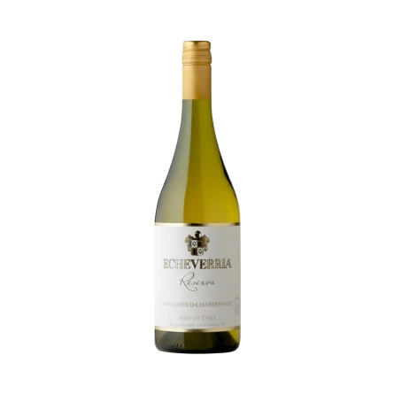 Rượu Vang Trắng Chile Echeveria Chardonnay Reserva