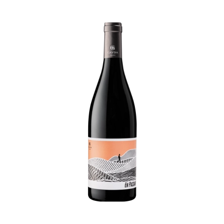 Rượu Vang Đỏ Pháp Domaine Gayda En Passant Rouge