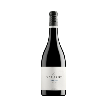 Rượu Vang Đỏ Pháp Les Vignobles Foncalieu Le Versant Merlot