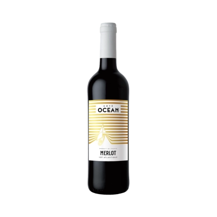 Rượu Vang Đỏ Pháp Cote Ocean Merlot