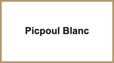 Picpoul Blanc