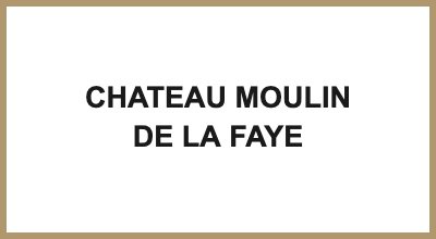 CHATEAU MOULIN DE LA FAYE