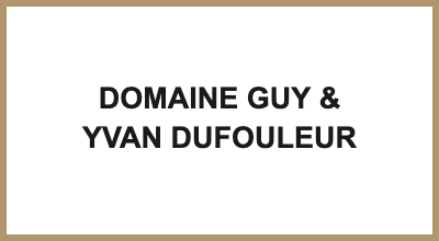 DOMAINE GUY & YVAN DUFOULEUR