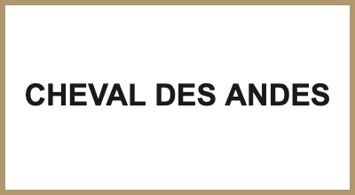 CHEVAL DES ANDES