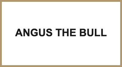 ANGUS THE BULL