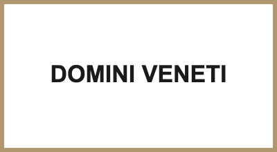 DOMINI VENETI