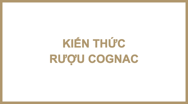 KIẾN THỨC RƯỢU COGNAC