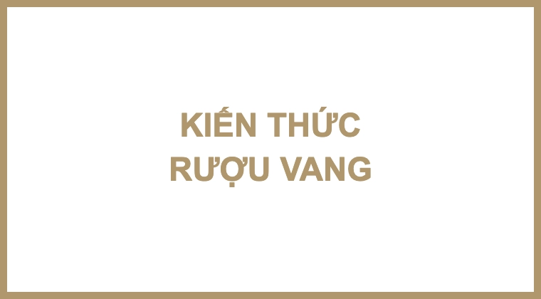 KIẾN THỨC RƯỢU VANG