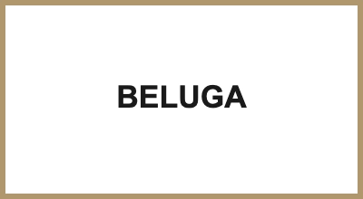 BELUGA