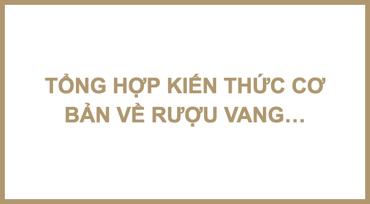 TỔNG HỢP KIẾN THỨC CƠ BẢN VỀ RƯỢU VANG CHO NGƯỜI MỚI BẮT ĐẦU