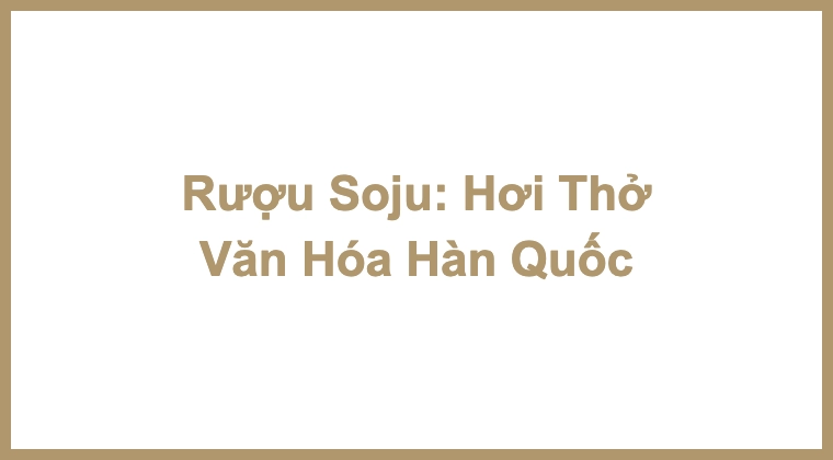 Rượu Soju: Hơi Thở Văn Hóa Hàn Quốc