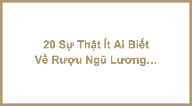 20 Sự Thật Ít Ai Biết Về Rượu Ngũ Lương Dịch/Wuliangye/五粮液