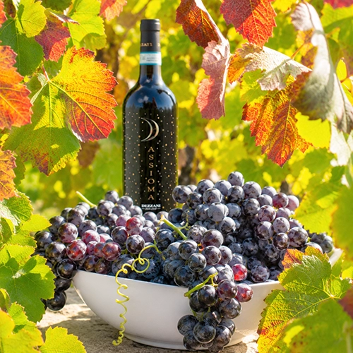 ALBAROSSA