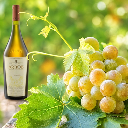 SAVAGNIN