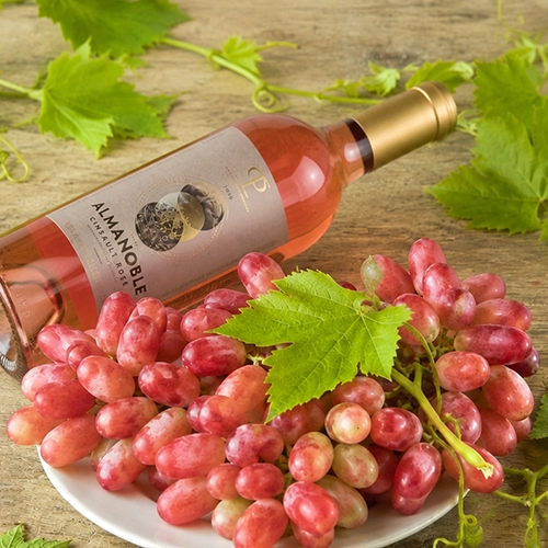 CINSAULT