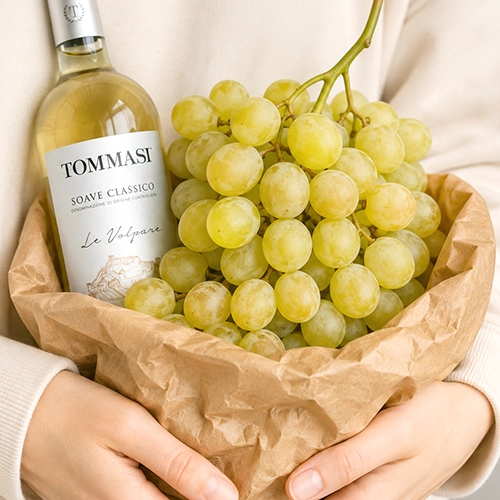 GARGANEGA