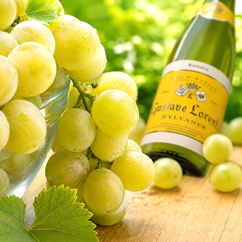 SYLVANER