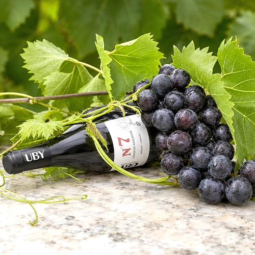 TANNAT