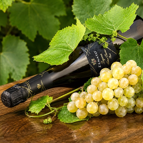 VERDICCHIO
