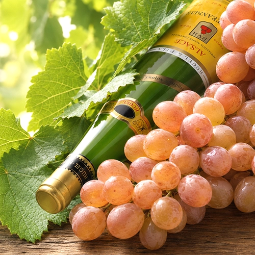 GEWURZTRAMINER