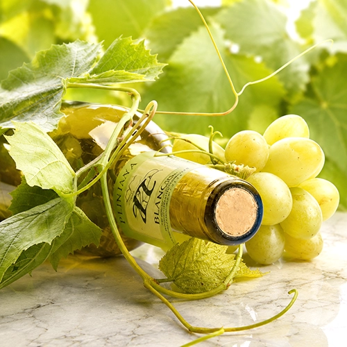 FIANO