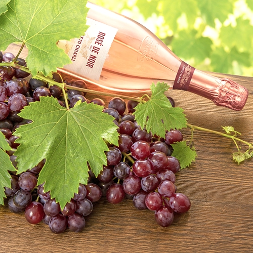LAMBRUSCO