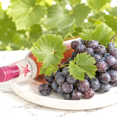 PINOTAGE