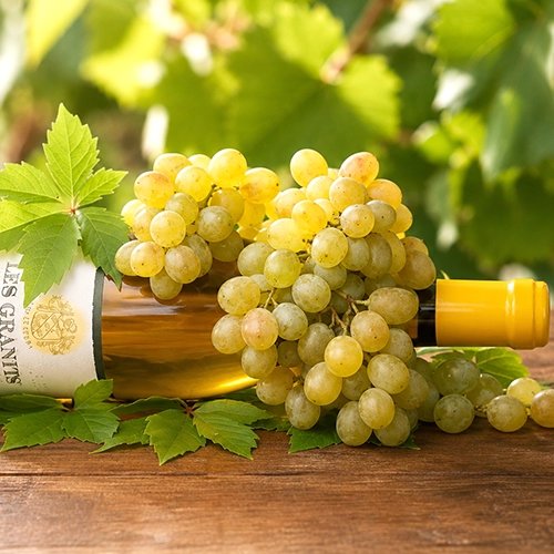 MARSANNE