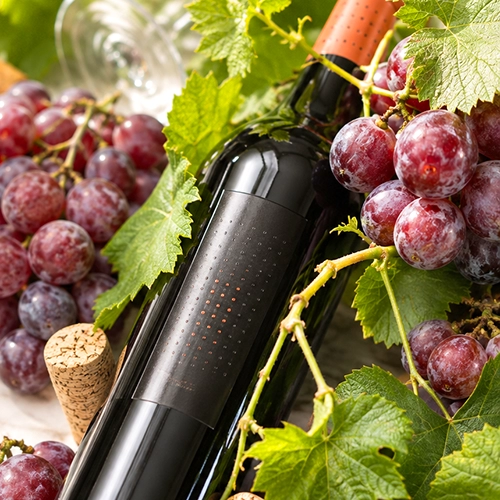 GARNACHA