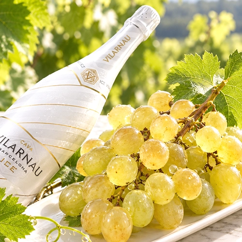 MALVASIA