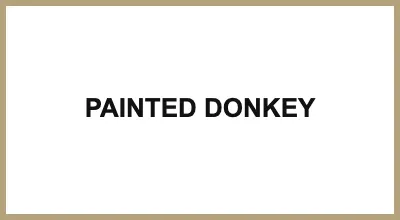 PAINTED DONKEY