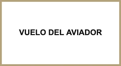 VUELO DEL AVIADOR