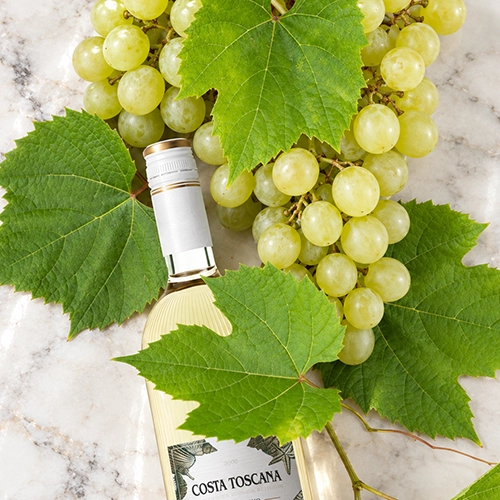 VERMENTINO