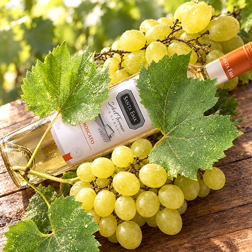MOSCATO