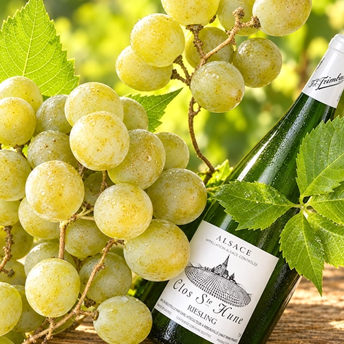 RIESLING