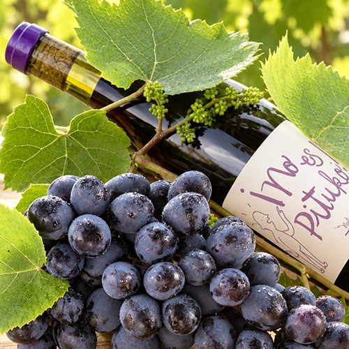 CARIGNAN