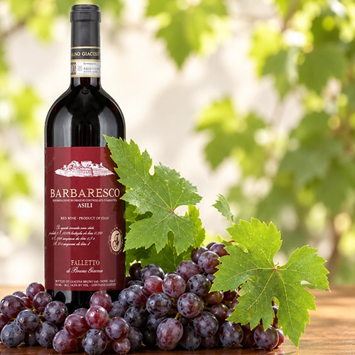 NEBBIOLO