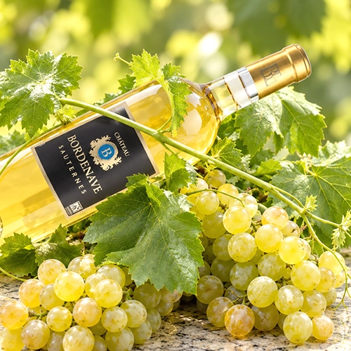 SEMILLON