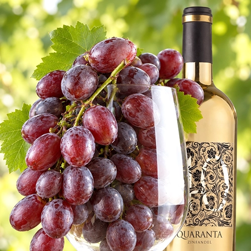 ZINFANDEL