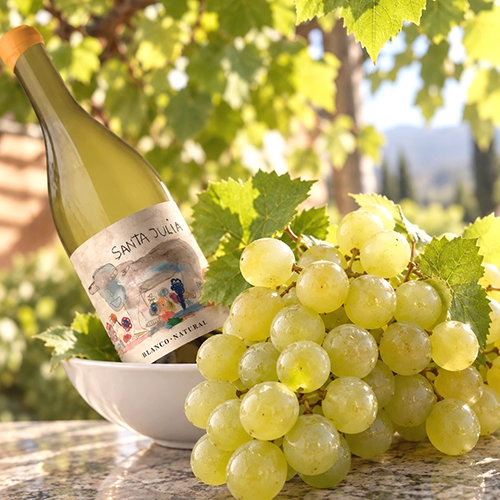 TORRONTES