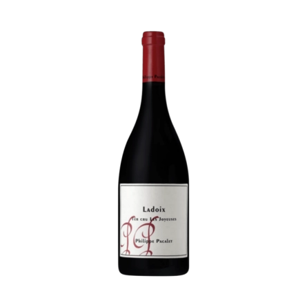 Rượu Vang Đỏ Pháp Domaine Taupenot Merme Gevrey Chambertin 2023