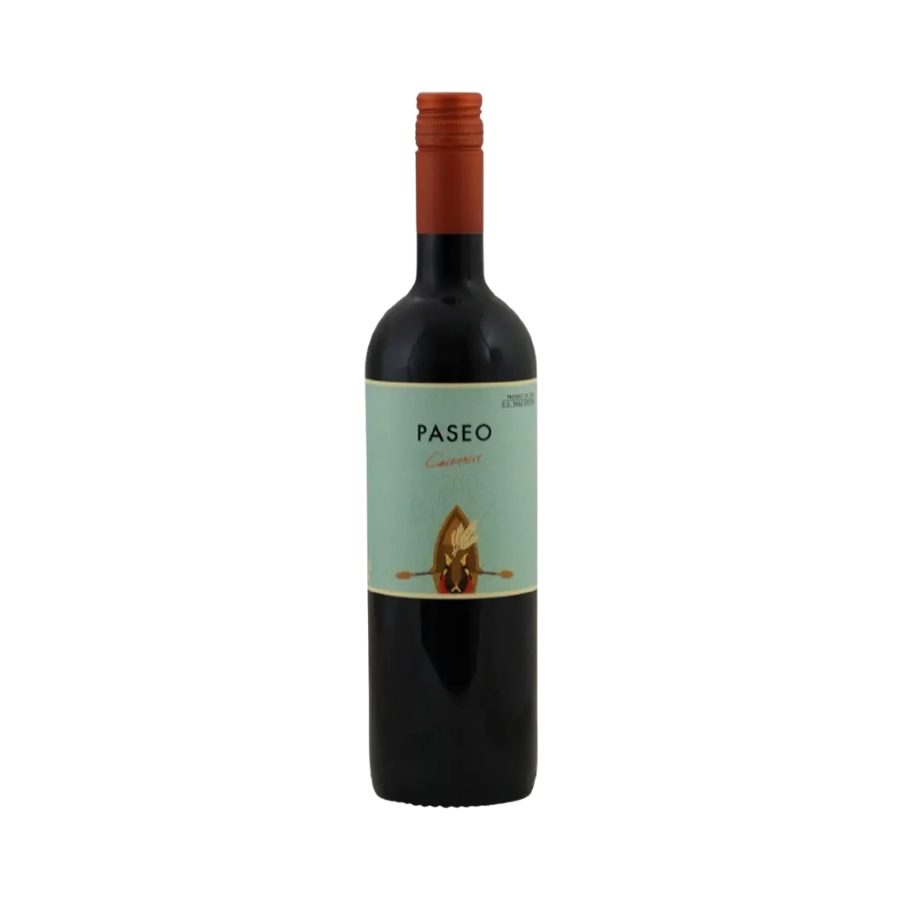 Rượu Vang Đỏ Chile Paseo Carmenere 