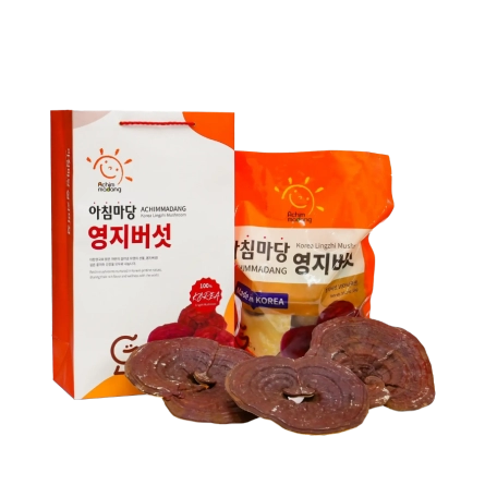 Nấm Linh Chi Achimmadang 4 - 5 Cánh